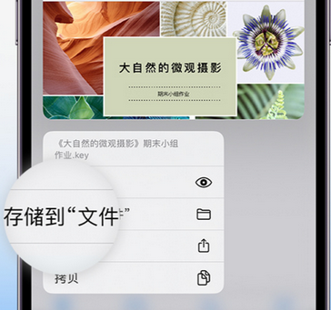 万载apple维修中心分享iPhone文件应用中存储和找到下载文件