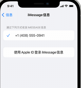 万载apple维修iPhone上无法正常发送iMessage信息 