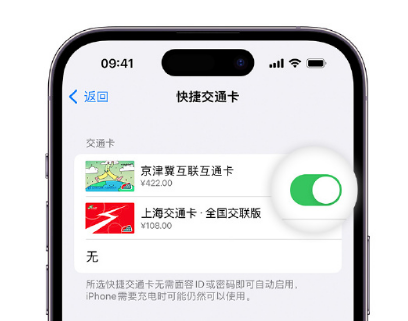 万载apple维修点分享iPhone上更换Apple Pay快捷交通卡手绘卡面 