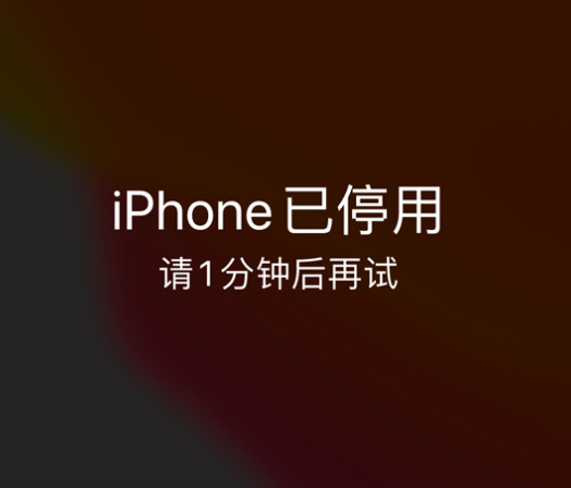 万载苹果手机维修分享:iPhone 显示“不可用”或“已停用”怎么办？还能保留数据吗？ 