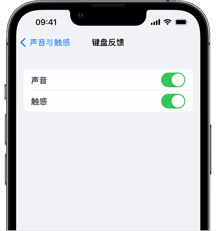 万载苹果14维修店分享如何在 iPhone 14 机型中使用触感键盘 