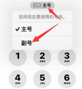 万载苹果14维修店分享iPhone 14 Pro Max使用副卡打电话的方法 