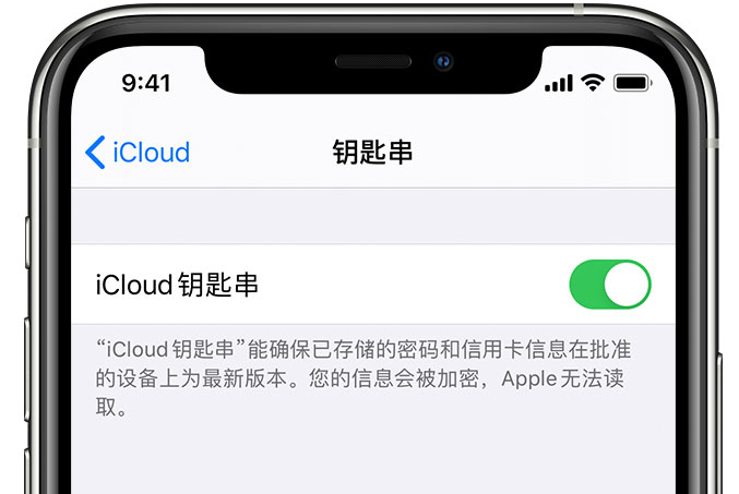 万载苹果手机维修分享在 iPhone 上开启 iCloud 钥匙串之后会储存哪些信息 