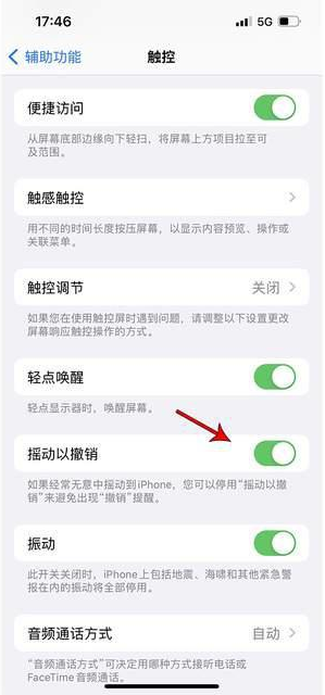 万载苹果手机维修分享iPhone手机如何设置摇一摇删除文字 